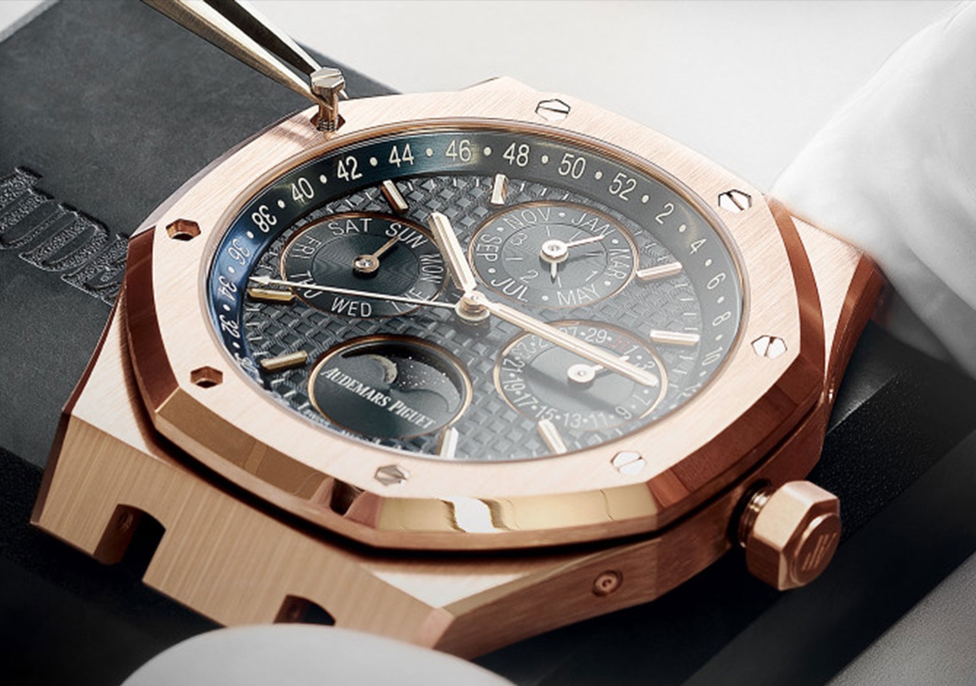 Audemars Piguet Programma Hi Care